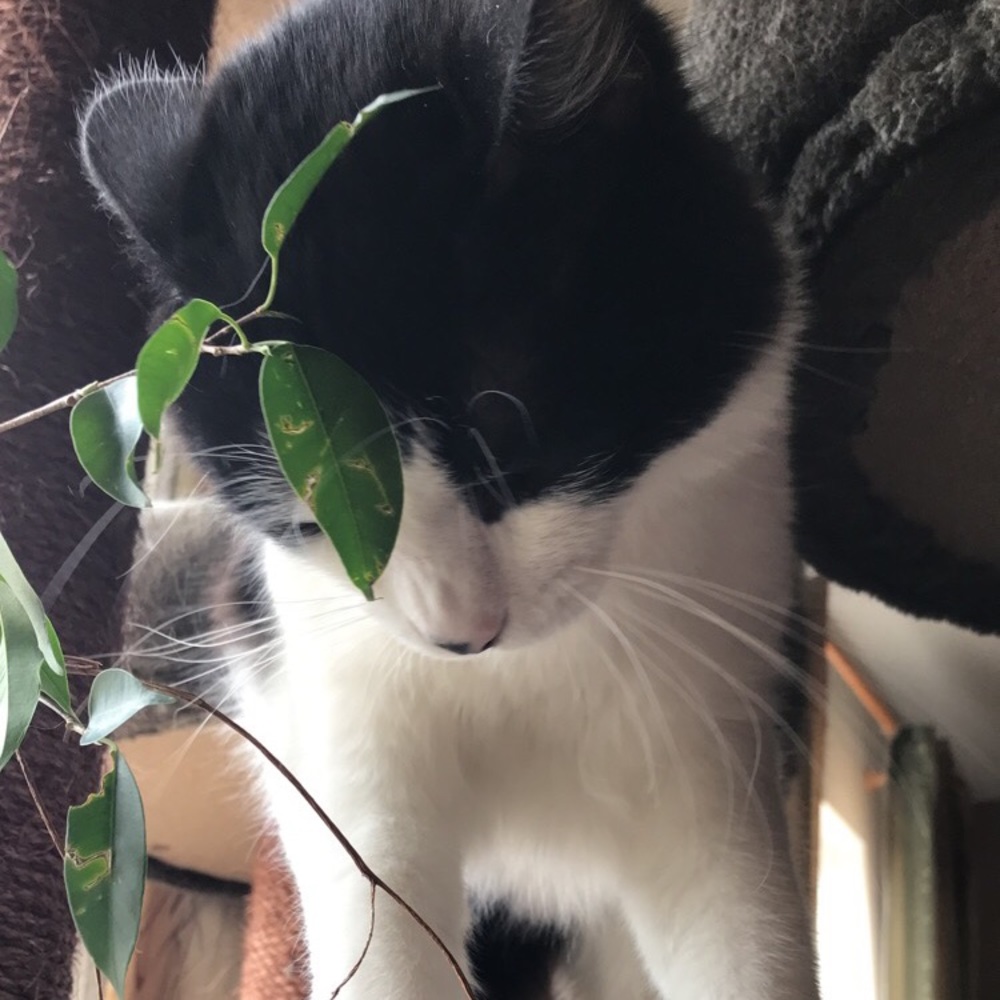 Meet your Posher, Brett